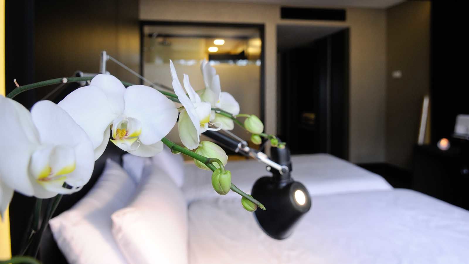 Evidencia Belverde Hotel Амора Экстерьер фото